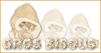 Gif animé gros bisous chat